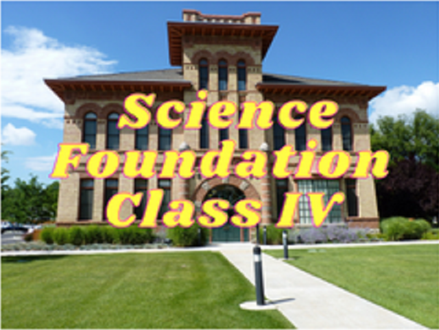 Science (Foundation) - Class IV
